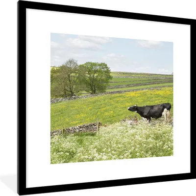 Produktbild von MuchoWow® Gerahmtes Poster Kuh - Blumen - Tiere 40x40 cm - Poster mit Schwarzem Bilderrahmen Wandposter Rahmen Foto Bilder - Poster - Plakat im Rahmen