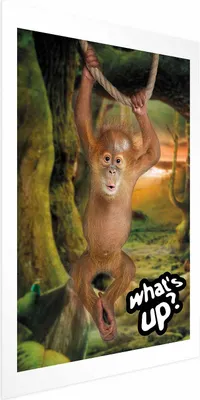 Produktbild von Posterpapier Poster - What's Up? 60x90 cm Für Kinder g-A-0203-ao-a