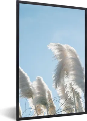 Produktbild von MuchoWow® Gerahmtes Poster Himmel - Gras - Pampasgras 20x30 cm - Poster mit Schwarzem Bilderrahmen Wandposter Rahmen Foto Bilder - Drucken - Bilder Poster im Rahmen