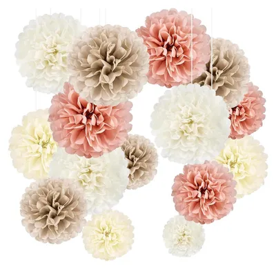 Produktbild von 20er Pompons Seidenpapier Deko Hochzeit Geburtstag Gartenparty Rosegold Babyzimmer Champagner Aprikose Süss