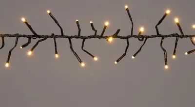 Produktbild von Coen Bakker LED Lichterkette Cluster für Außen 7,5m warmweiß 576 LEDs Dimmer Timer