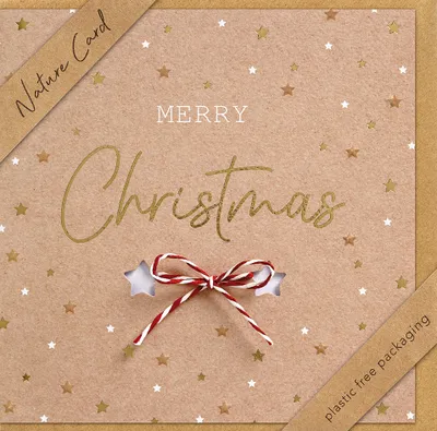 Produktbild von bsb 22-6919-2 Weihnachtskarte - Natur Card, inkl. Umschlag