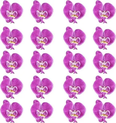 Obrázek produktu pro Umělé orchideje hlava Phalaenopsis hedvábné květiny - sada 20 kusů pro dekorace, svatby a fotografování