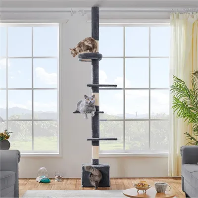 Three cats are playing on a tall, multi-level cat tree in a living room with large windows.
