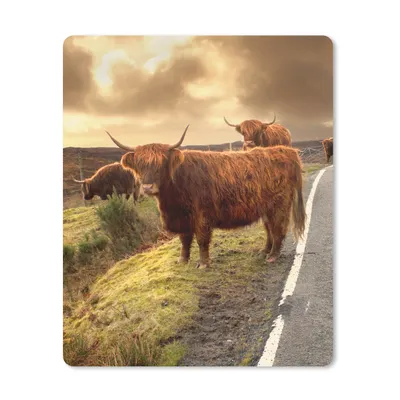 Produktbild von MuchoWow® Mauspad Mousepad Schottische Highlanders - Himmel - Straße 30x40 cm - Mousepads - Maus Mat - Pad - Mausunterlage - Mausmatten