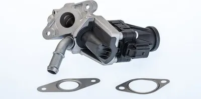 Produktbild von WAHLER 710979R AGR-Ventil für CITROËN JUMPER Kasten Abgasrückführungsventil