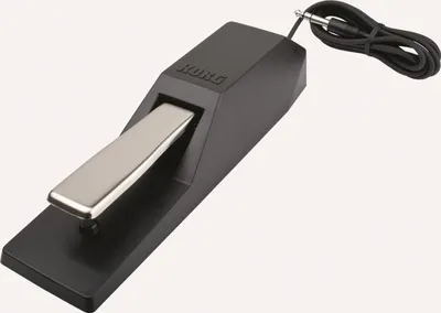 Obrázek produktu pro Korg DS-1H