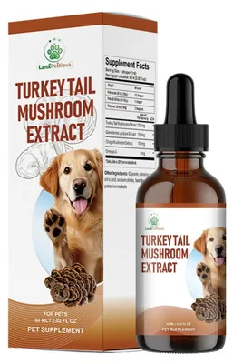 Produktbild von Pilzextrakt für Hunde und Katzen, 50 ml