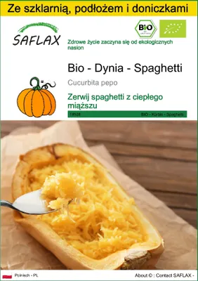 Zdjęcie produktu dla SAFLAX - Zestaw do uprawy - Bio - Dynia - Spaghetti - 5 Nasiona - Z mini szklarnią, podłożem uprawowym i 2 doniczkami - Cucurbita pepo
