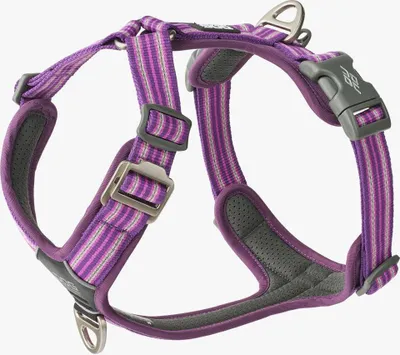 Produktbild von Dog Copenhagen V3 Comfort Walk Air Harness Purple Passion M