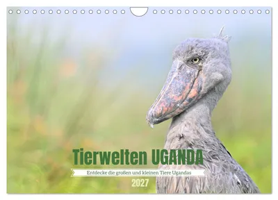 Produktbild von Tierwelten UGANDA (Wandkalender 2027 DIN A4 quer), CALVENDO Monatskalender