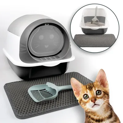A collage of a cat litter box, a litter scoop, a litter mat, and a kitten.