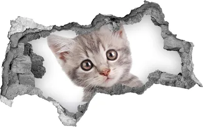 Produktbild von Selbstklebender Loch-3D-Aufkleber 95x73 cm graue Katze