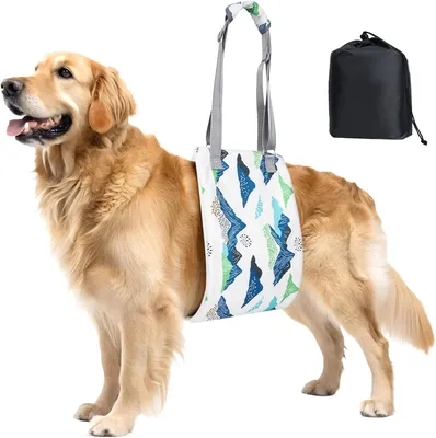 Produktbild von Hunde-Tragehilfe, blau, verstellbar, für Spaziergang