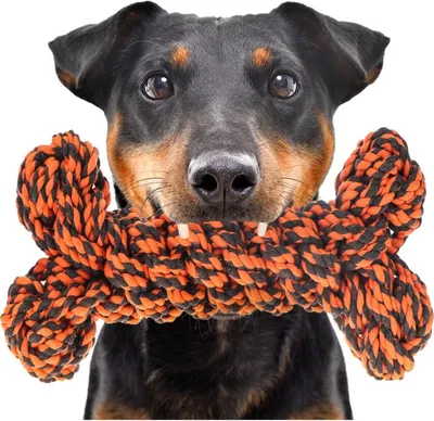 Obrázok produktu pre HappyPet Knots Extreme Bone - hračka pletená z šnúrky happypet
