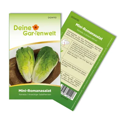 Produktbild von Romanasalat Xanadu Samen - Lactuca sativa - Romanasalatsamen - Gemüsesamen - Saatgut für 150 Pflanzen