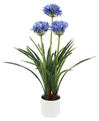 Produktbild von Künstliche Agapanthus-Blume im Topf, 50 x 80 cm