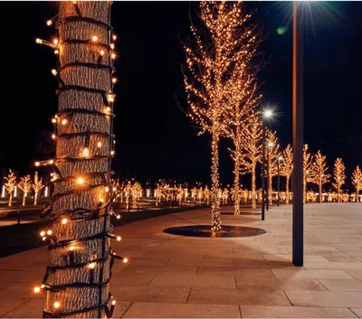 Produktbild von Weihnachtsbeleuchtung 10m 100 LEDs 36V Koppelverlichting 10cm LED-Abstand für Coenbakker Connect De Luxe