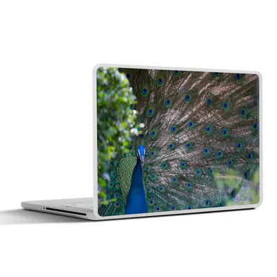 Produktbild von MuchoWow® Laptop Aufkleber Sticker Cover Vogel - Pfau - Federn 32.5x23.5 cm - Sticker für Laptop - Selbstklebend