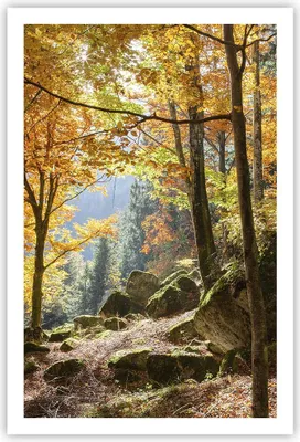 Produktbild von Poster - Poster ohne Rahmen - Herbst berg wald natur - 61x91,5 cm - Wand Bild - Wanddeko - Wandbilder - Kunstposter - Wandposter - Bilder - Kunstdruck - Wanddekoration - Wandbild - P2XPA61x91-2713