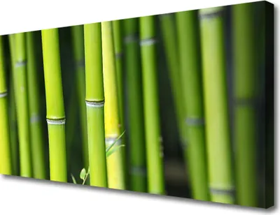 Produktbild von Tulup Leinwand-Bilder 100x50 Wandbild Canvas Kunstdruck Bambusrohr Natur
