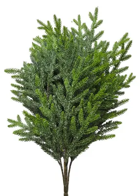 Immagine prodotto di Clayre & Eef, pianta artificiale, colore verde, materiale: plastica
