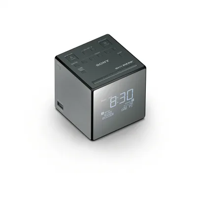 Produktbild von Sony XDR-C1DBP silber / schwarz