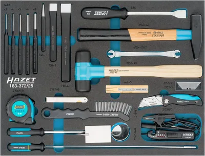 Produktbild von HAZET 163-372/25, 25 Stück(e)