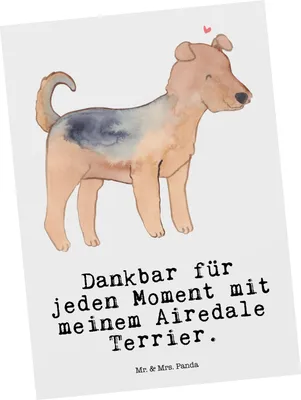 Produktbild von Mr. & Mrs. Panda Grußkarte Airedale Terrier Moment - Weiß - Geschenk, Postkarten, Ansichtskarten, Postkarte, Ansichtskarte, bildkarte