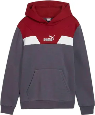 Produktbild von Hoodie Puma 681849-69 für Kinder