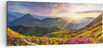 Produktbild von Bild auf Leinwand - Leinwandbild - Gebirge Wiese Landschaft Wald - 100x40cm - Wand Bild - Wanddeko - Leinwanddruck - Bilder - Kunstdruck - Wanddekoration - Leinwand bilder - Wandkunst - AB100x40-3152