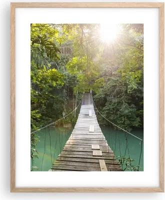 Produktbild von Gerahmtes Poster - Rahmen in heller Eiche - Brücke Seil Dschungel - 40x50 cm - Wand Bild - Wanddeko - Wandbilder - Kunstposter - Wandposter - Bilderrahmen - Bilder - Kunstdruck - P2NPA40x50-4397