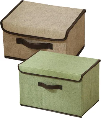 Productafbeelding van Opbergbox met deksel, set van 2, 27 x 20 x 16 cm, met handgrepen, geschikt voor het opbergen van kleding