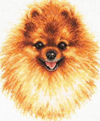 Produktbild von Magic Needle Zweigart Edition Kreuzstich Set "Pommerschen", Zählmuster, 22x25cm
