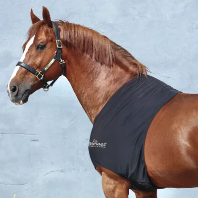 A brown horse wearing a black slinky shoulder cover.