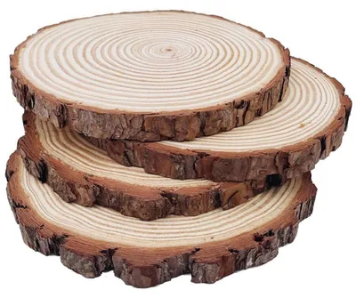 Immagine prodotto di Dischi di legno, 4 pezzi, diametro 21-23 cm, non forati, ideali per progetti fai-da-te, artigianato e decorazioni