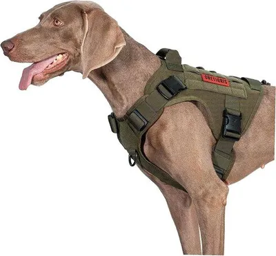 Immagine prodotto di Guinzaglio per cani Brandschutzbeobachter 2.0 con moschettone e doppio gancio in metallo (verde, M)