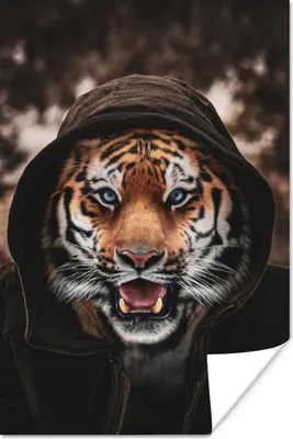 Produktbild von MuchoWow® Poster Tiger mit Kapuze 80x120 cm - Papierdruck