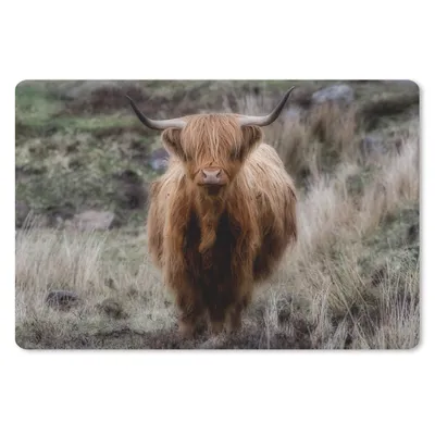 Produktbild von MuchoWow® Mauspad Mousepad Schottischer Hochländer - Moos - Gras 27x18 cm - Mousepads - Maus Mat - Pad - Mausunterlage - Büroartikel - Desk Matten