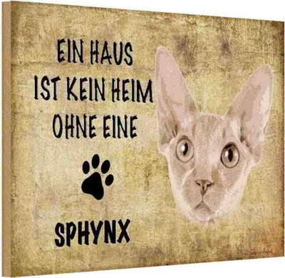 Produktbild von vianmo Holzschild 20x30 cm Sphynx Katze ohne kein Heim Straßenschild