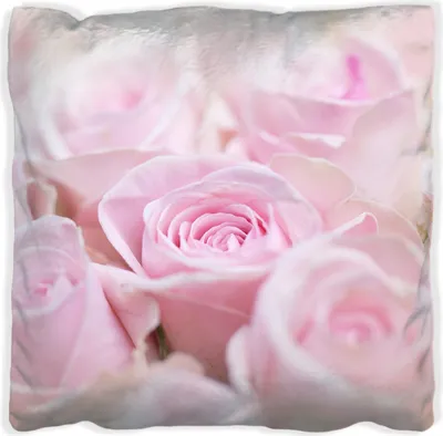 Produktbild von Wallario Premium Kissen, weiche Oberfläche, mit Motiv Rosafarbene Rosenblüten im Strauß, Größe: 40 x 40 cm, mit weißer Rückseite