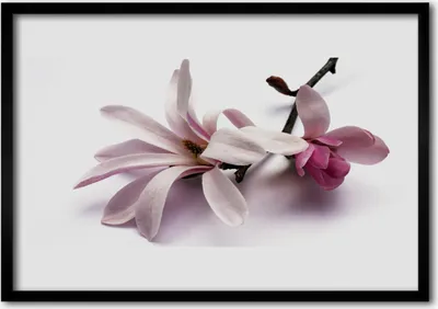 Produktbild von Bild 70x50 MDF-Rahmen Wandkunst Natur Blume Pflanze