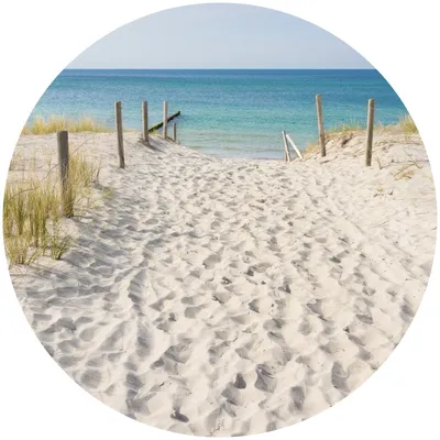Produktbild von Sticker rund PFAD Sand Meer Strand Himmel Dünen Pflanzen Natur Landschaft 3D Wandtattoo Aufkleber 100 cm x 100 cm