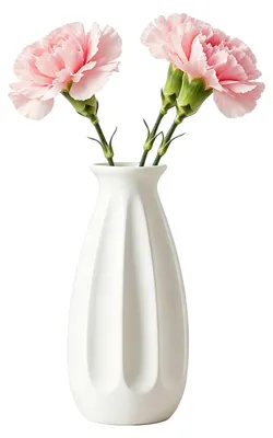 Image de Vase en céramique pour fleurs - Finition mate - Décoration pour table à manger et bureau - Blanc