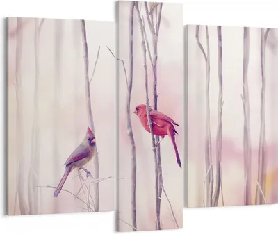 Produktbild von Bild auf Leinwand - Leinwandbild - 3 Teile - Vögel Kardinal Scharlachrot - 95x80cm - Wand Bild - Wanddeko - Wandbilder - Leinwanddruck - Bilder - Wanddekoration - Leinwand bilder - CB95x80-4256