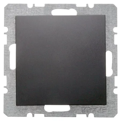 Produktbild von Berker Blindverschluss 6710091606 anthrazit matt