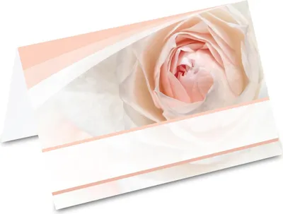 Image de Marque-places PRICARO "Rose", 50 pièces