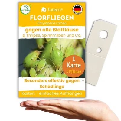 Produktbild von Florfliegenlarven gegen Blattläuse, Spinnmilben, Thripse & Co. - 1 Karte für 1-2 Pflanzen - Karten zum einfachen Aufhängen