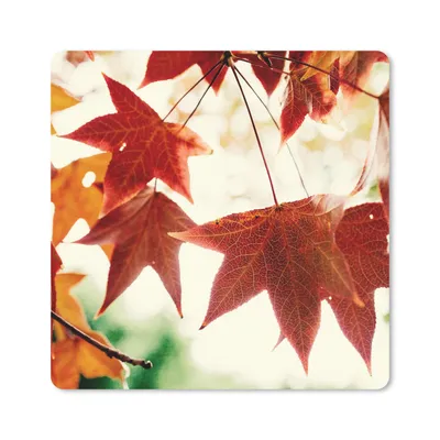 Produktbild von MuchoWow® Mauspad Mousepad Herbstblätter - November - Natur - Bäume 20x20 cm - Mousepads - Maus Mat - Pad - Mausunterlage - Desk Mat - Bureauartikeln