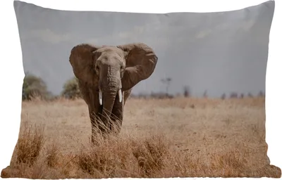Produktbild von MuchoWow® Outdoor Kissen - Elefant - Natur - Tiere - Porträt - 60x40 cm - Wetterfest - Lounge Kissen - Zierkissen - Kissen für Innenräume
